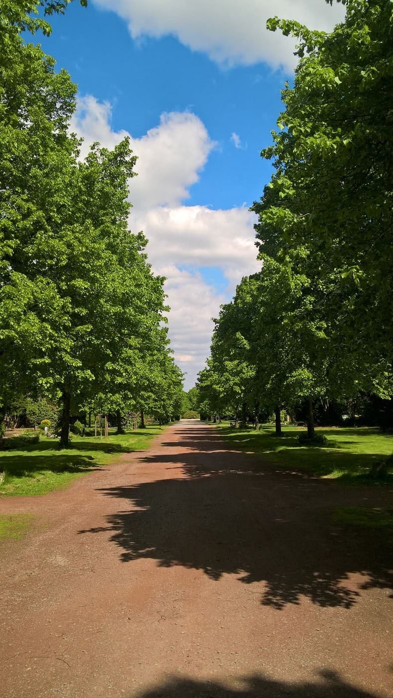 Lange geradlinige rotbraune Kiesallee zwischen hohen Laubbäumen, mit Grabsteinen am Wegrand und blauem Himmel auf Südwestfriedhof Essen